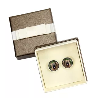 Briard, Berger de Brie - cufflinks in a box, handmade jewelry, product of the Art-Dog brand