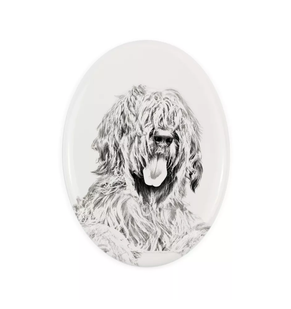 Briard, Berger de Brie - Gedenktafel mit einem Foto eines Hundes, Grabplatte mit Druck, personalisierte ovale Platte der Marke Art-Dog
