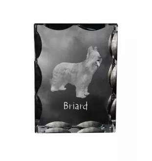 Briard, Berger de Brie - crystal with a picture of a dog, glass statuette with a picture, unique frame with a picture from Art-Dog brand