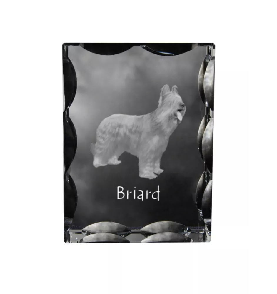 Briard, Berger de Brie - crystal with a picture of a dog, glass statuette with a picture, unique frame with a picture from Art-Dog brand