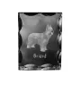 Briard, Berger de Brie - crystal with a picture of a dog, glass statuette with a picture, unique frame with a picture from Art-Dog brand