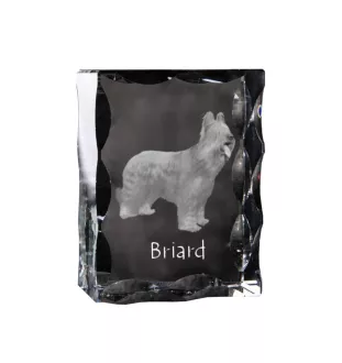 Berger de Brie, Briard - cristal avec photo de chien, statuette en verre avec photo, cadre exceptionnel avec photo de la marque Art-Dog