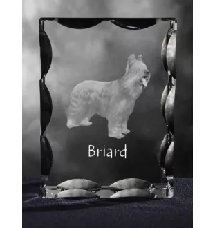 Briard, Berger de Brie - crystal with a picture of a dog, glass statuette with a picture, unique frame with a picture from Art-Dog brand