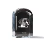 Boxer, Deutscher Boxer I - Kristallwürfel mit Bild, Hundebild im Kristall, sechseckiger Papierclip von Art-Dog.