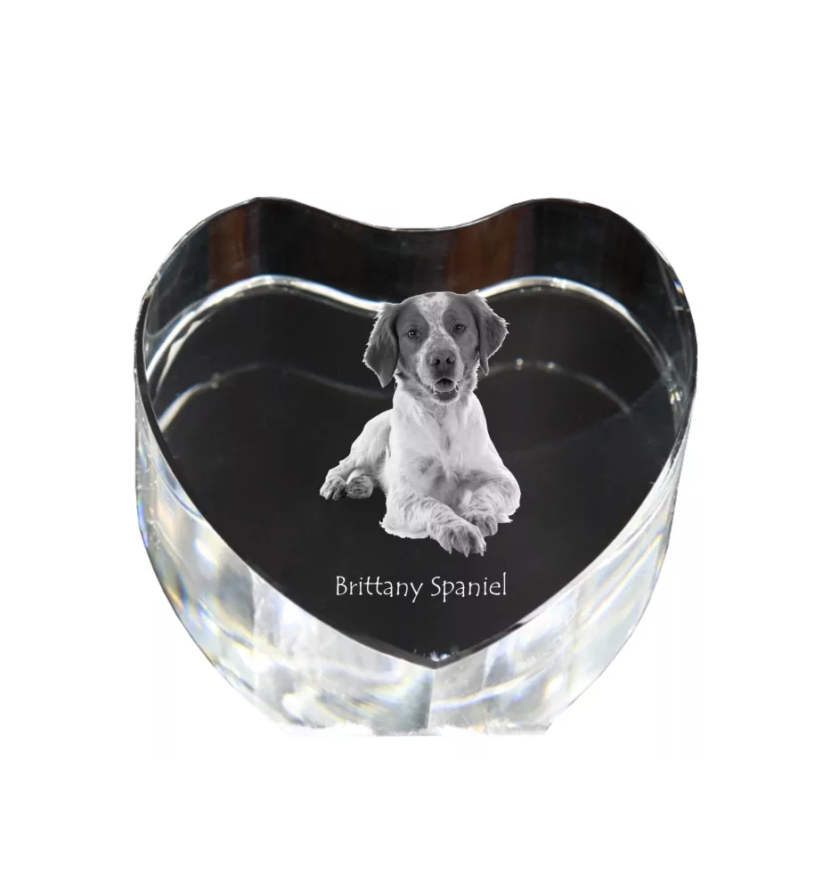 Epagneul Breton - une photo de chien dans un cristal, un cœur en cristal, un cadre photo exceptionnel de la marque Art-Dog
