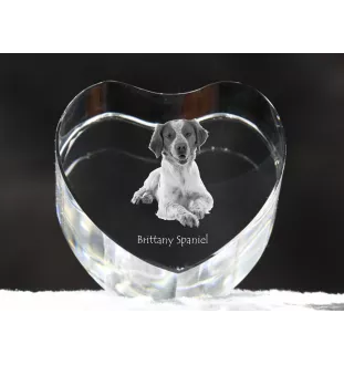 Bretonischer Spaniel, Bretonischer Vorstehhund, Brittany - Hundebild im Kristall, Kristallherz, einzigartiger Bilderrahmen der Marke Art-Dog