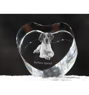 Brittany Spaniel, Brittany Wiegref - a photo of a dog in crystal, crystal heart, unique photo frame from the Art-Dog brand