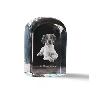 Brittany Spaniel, Brittany Wiegref - crystal cube with a photo, photo of a dog in crystal, cubic paperweight from Art-Dog brand