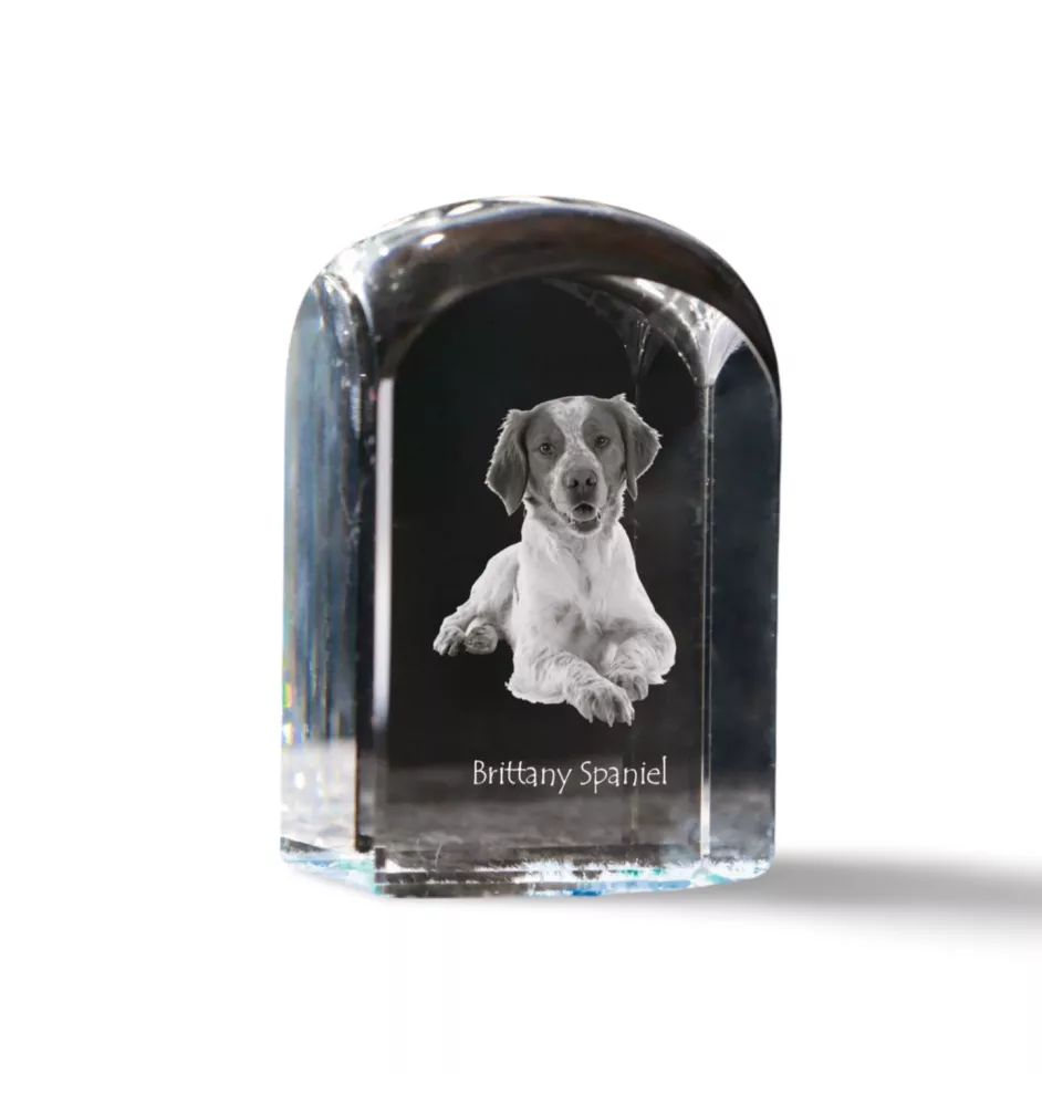 Brittany Spaniel kryształ pieczątka pięczątka z psem Art-Dog