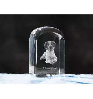 Epagneul Breton - un cube de cristal avec une photo, une photo de chien dans le cristal, un presse-papiers cubique de la marque Art-Dog