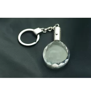 Briard, Berger de Brie - pendant with a photo of a dog, crystal key ring in a gift box, a unique gift by Art-Dog