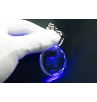 Berger de Brie, Briard - pendentif avec une photo de chien, porte-clés en cristal dans une boîte cadeau, un cadeau unique par Art-Dog