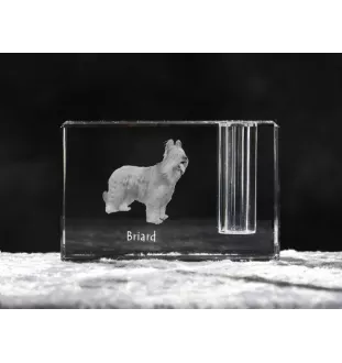 Briard, Berger de Brie - Pen stand, crystal organiser with dog photo, unique desk decoration by Art-Dog brand