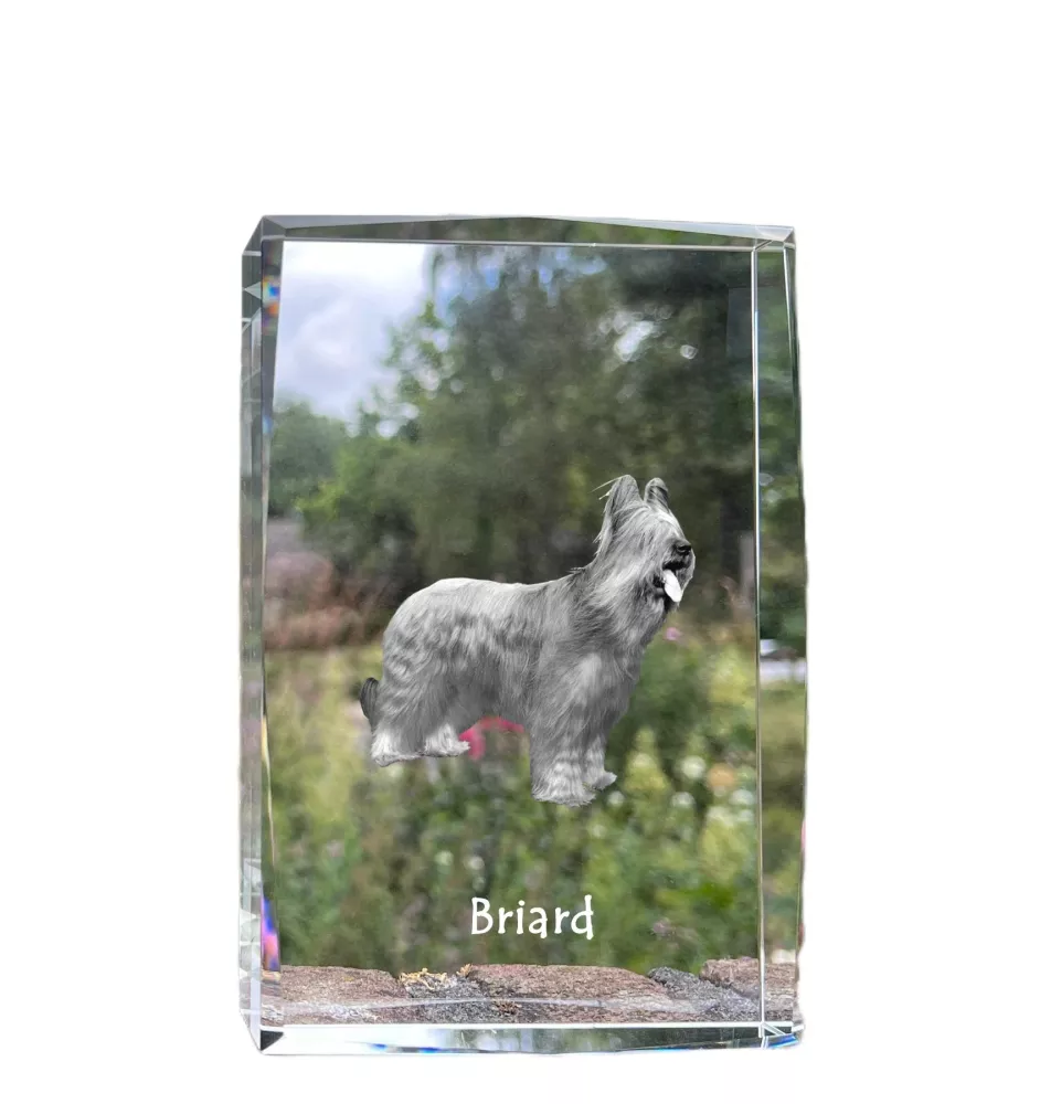 Briard, Berger de Brie - Kristall mit einem Hundebild, Bild im Glas, moderne Ausstellung des Art-Dog-Bildes.