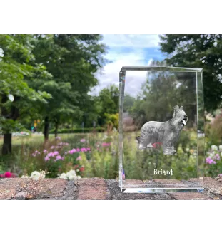Briard, Berger de Brie - Kristall mit einem Hundebild, Bild im Glas, moderne Ausstellung des Art-Dog-Bildes.