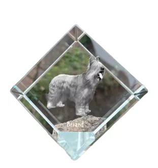 Briard, Berger de Brie - crystal cube with a photo, photo of a horse in crystal, cubic paperweight from Art-Dog brand