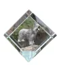 Berger de Brie, Briard - un cube de cristal avec une photo, une photo de cheval dans le cristal, un presse-papiers cubique de la marque Art-Dog