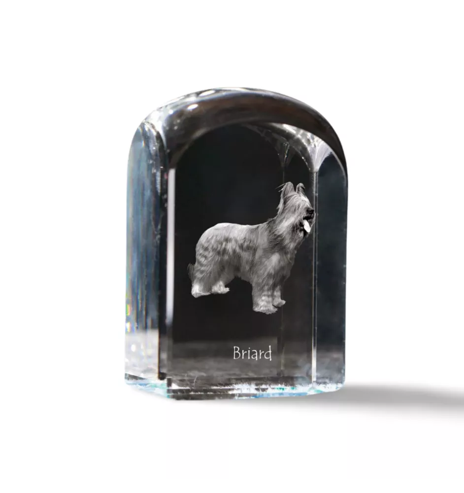 Briard, Berger de Brie - crystal cube with a photo, photo of a dog in crystal, cubic paperweight from Art-Dog brand
