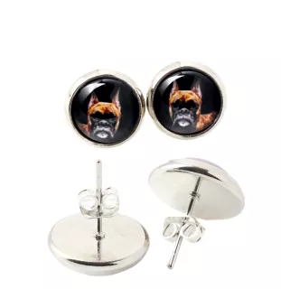 Boxer III - boucles d'oreilles dans une boîte, votre photo, bijoux faits à la main, produit de la marque Art-Dog.