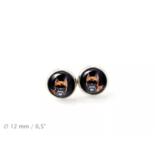 Boxer III - boucles d'oreilles dans une boîte, votre photo, bijoux faits à la main, produit de la marque Art-Dog.