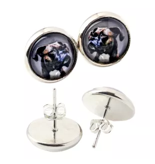 Boxer, German Boxer I - earrings in a box, your photo, handmade jewelry, a product of the Art-Dog brand