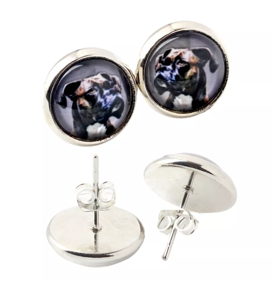 Boxer I - boucles d'oreilles dans une boîte, votre photo, bijoux faits à la main, produit de la marque Art-Dog.