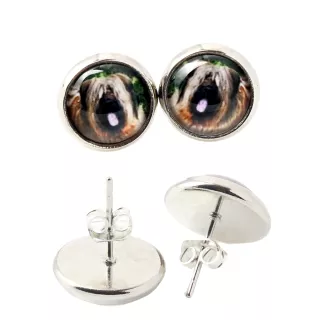 Briard, Berger de Brie - earrings in a box, your photo, handmade jewelry, a product of the Art-Dog brand