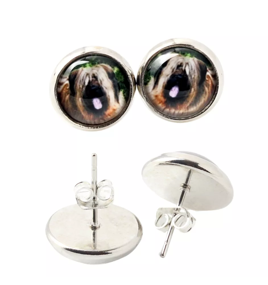 Briard, Berger de Brie - Ohrringe in einer Schachtel, Ihr Foto, handgefertigter Schmuck, Eigenmarke von Art-Dog.