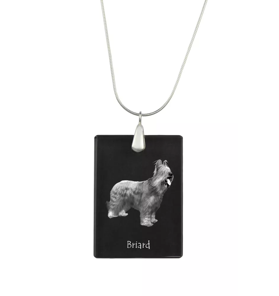 Berger de Brie, Briard - Pendentif en cristal avec chien, collier en argent avec photo, pendentif personnalisé par la marque Art-Dog