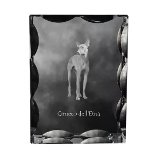 Cirneco dell'Etna - crystal with a picture of a dog, glass statuette with a picture, unique frame with a picture from Art-Dog brand