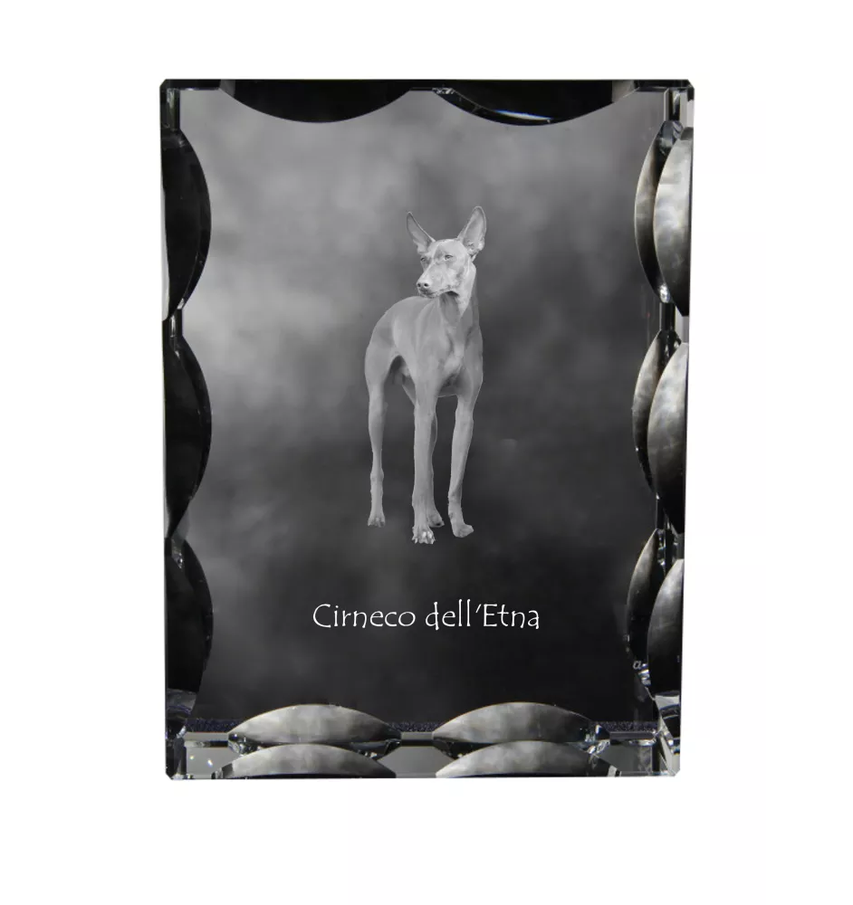 Cirneco dell'Etna - crystal with a picture of a dog, glass statuette with a picture, unique frame with a picture from Art-Dog brand
