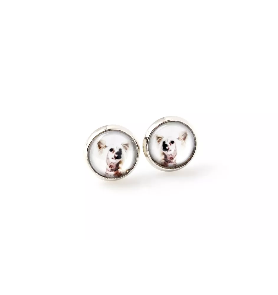 Chinese Crested Dog, Puff - earrings your photo handmade, own photo, jewelry from the Art.-Dog brand