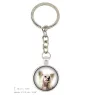 Chien chinois à crête, chien nu chinois - porte-clés dans une boîte, photo personnelle, porte-clés de la marque Art-Dog
