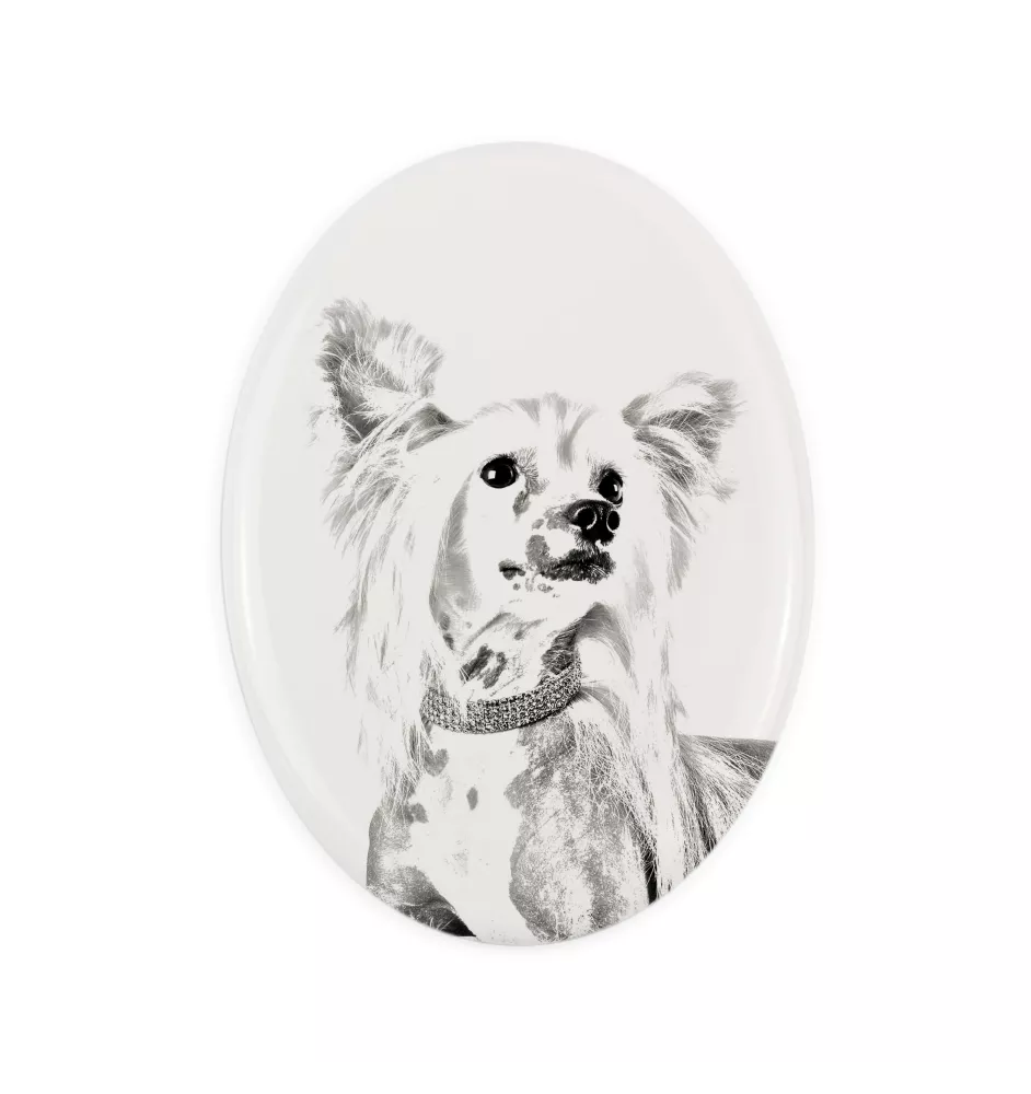 Chinese Crested Dog, Puff - commemorative plaque with a photo of a dog, tombstone with a print, personalized oval plaque from the Art-Dog brand