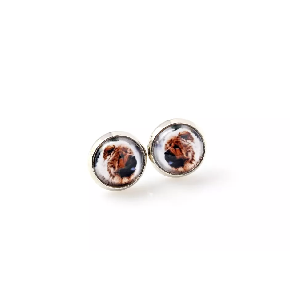 Chow Chow - earrings your photo handmade, own photo, jewelry from the Art.-Dog brand