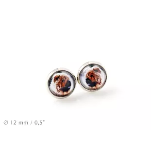 Chow Chow - earrings your photo handmade, own photo, jewelry from the Art.-Dog brand