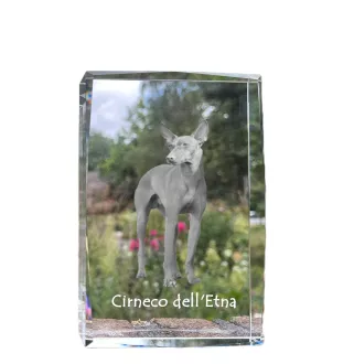 Cirneco de l'Etna, Cirneco dell'Etna - cristal avec une photo de chien, photo sous verre, exposition moderne de la marque de photos Art-Dog