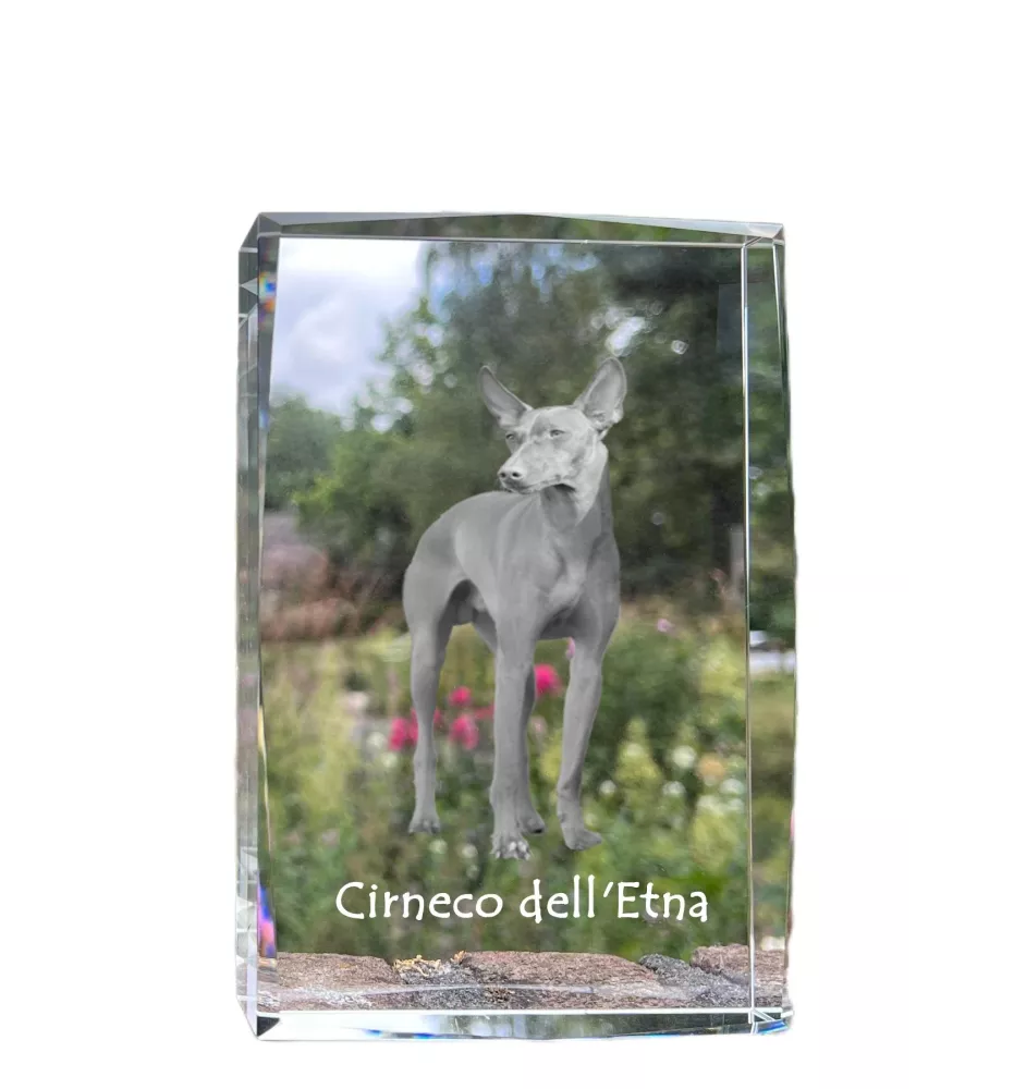 Cirneco de l'Etna, Cirneco dell'Etna - cristal avec une photo de chien, photo sous verre, exposition moderne de la marque de photos Art-Dog