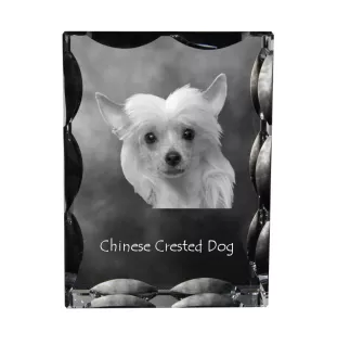 Chinesischer Schopfhund - Kristall mit einem Hundebild, Glasstatuette mit einem Bild, einzigartiger Bilderrahmen der Marke Art-Dog