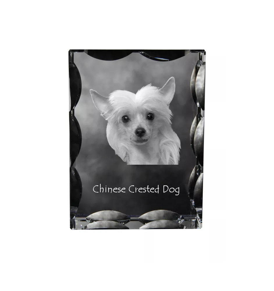 Chinesischer Schopfhund - Kristall mit einem Hundebild, Glasstatuette mit einem Bild, einzigartiger Bilderrahmen der Marke Art-Dog
