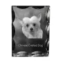 Chinese Crested Dog, Puff - crystal with a picture of a dog, glass statuette with a picture, unique frame with a picture from Art-Dog brand