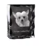 Chinese Crested Dog, Puff - crystal with a picture of a dog, glass statuette with a picture, unique frame with a picture from Art-Dog brand