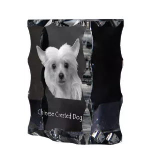 Chinese Crested Dog, Puff - crystal with a picture of a dog, glass statuette with a picture, unique frame with a picture from Art-Dog brand