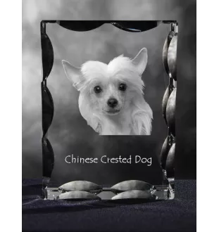 Chinesischer Schopfhund - Kristall mit einem Hundebild, Glasstatuette mit einem Bild, einzigartiger Bilderrahmen der Marke Art-Dog