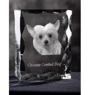 Chinese Crested Dog, Puff - crystal with a picture of a dog, glass statuette with a picture, unique frame with a picture from Art-Dog brand