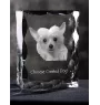 Chinesischer Schopfhund - Kristall mit einem Hundebild, Glasstatuette mit einem Bild, einzigartiger Bilderrahmen der Marke Art-Dog