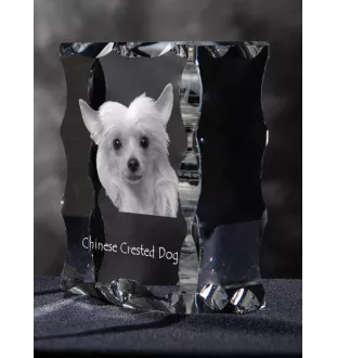 Chinese Crested Dog, Puff - crystal with a picture of a dog, glass statuette with a picture, unique frame with a picture from Art-Dog brand