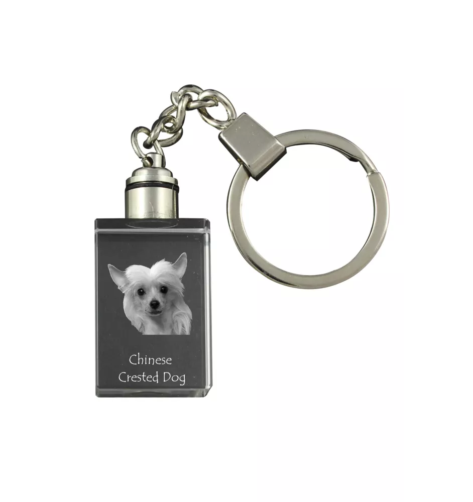 Chien chinois à crête, chien nu chinois - Porte-clés en cristal avec photo de chien, porte-clés lumineux, cadeau unique de la marque Art-Dog
