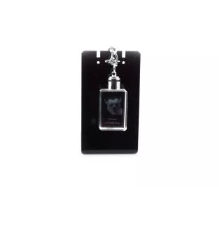 Chien chinois à crête, chien nu chinois - Porte-clés en cristal avec photo de chien, porte-clés lumineux, cadeau unique de la marque Art-Dog
