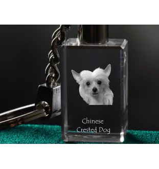 Chien chinois à crête, chien nu chinois - Porte-clés en cristal avec photo de chien, porte-clés lumineux, cadeau unique de la marque Art-Dog